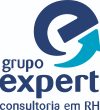 expert expert